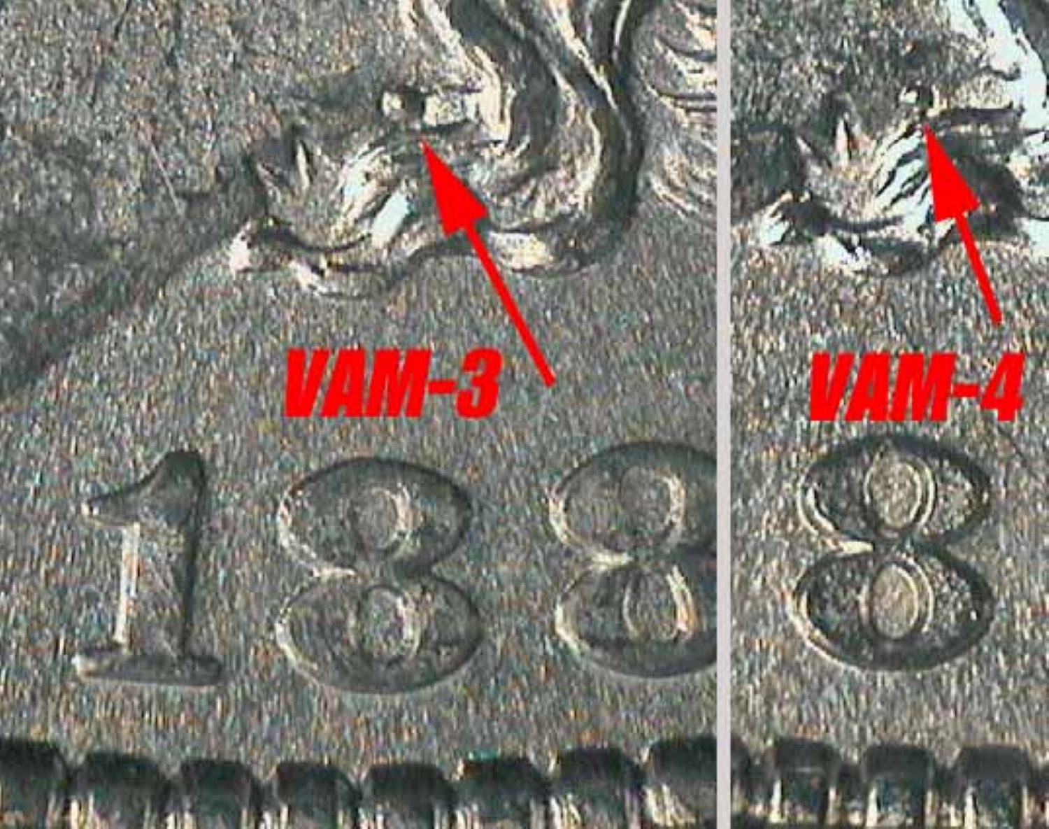 1884-$1-Morgan-Dollar-#3---12-Of-35,-VAMworld-Top-100---VAM-3